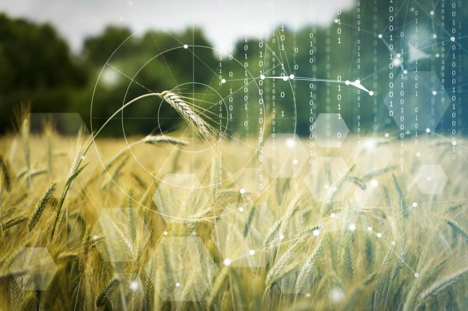 Norwich Research Park: TraitSeq uses AI to optimise plant breeding