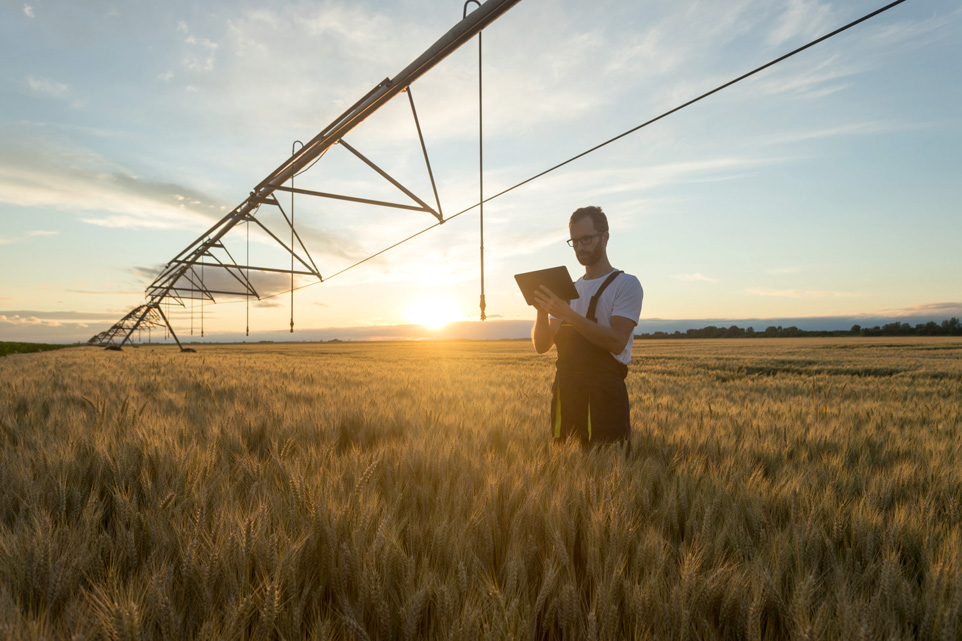 How technology is making flour production more sustainable and healthier
